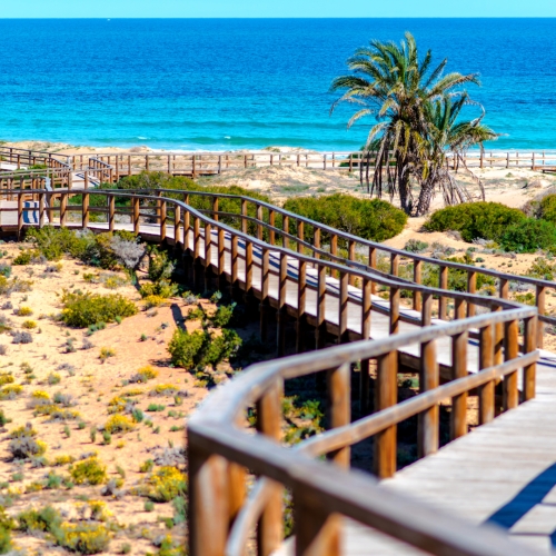 shutterstock 385481548 - Los Arenales del Sol