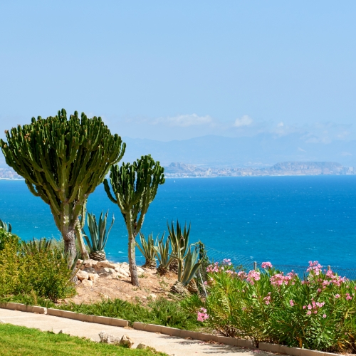 shutterstock 709391833 - Gran Alacant