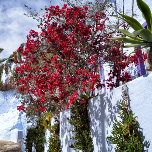 shutterstock 1075415288 - Nijar