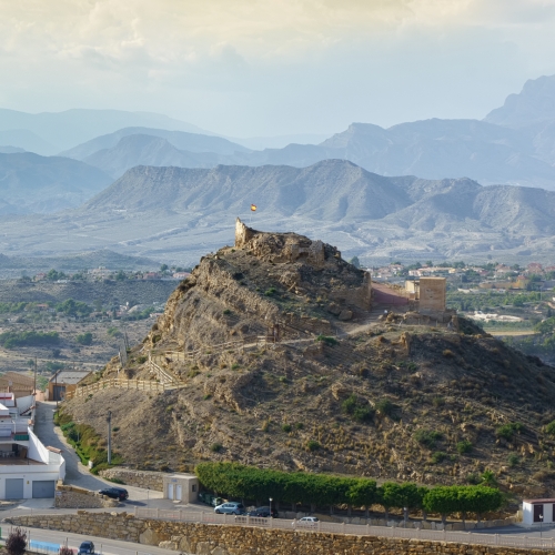 shutterstock 1217679922 - Busot