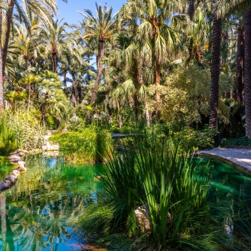 shutterstock 2037450875 - Elche