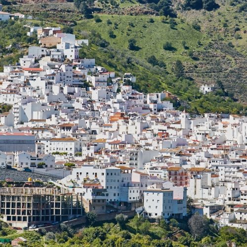 shutterstock 1303031395 - Tolox