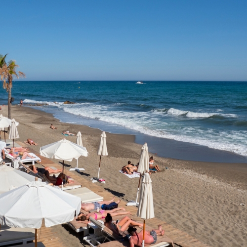 shutterstock 1588635889