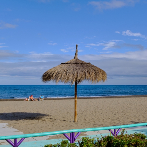 shutterstock 1971422870