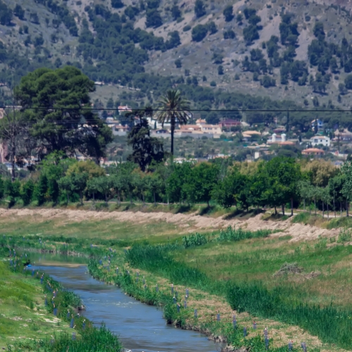 shutterstock1982539451