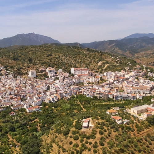 shutterstock 648396925 - Guaro