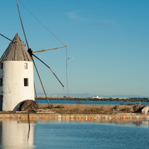 shutterstock 93309013