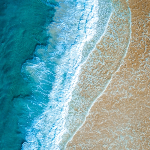 shutterstock 1696968400